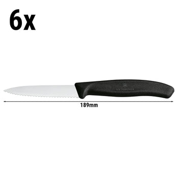 VICTORINOX | SWISS CLASSIC - Nóż do obierania z ząbkowaną krawędzią - Ostrze: 80 mm - 6 szt. - Prime Gastro