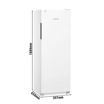 LIEBHERR | Chłodziarka PERFORMANCE - 250 litrów - wnętrze z tworzywa sztucznego - z 1 drzwiami - biała - Prime Gastro