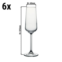 (6 sztuk) Kieliszek do szampana - ALLEGRA - 195 ml - przezroczysty