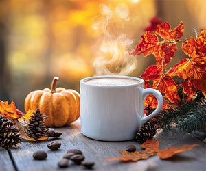 Jesienne must-have'y - Prime Gastro