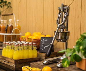 Sokowirówki do owoców - Prime Gastro