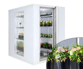 Szklane komory chłodnicze Premium