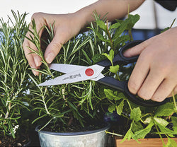 ZWILLING | Twin L