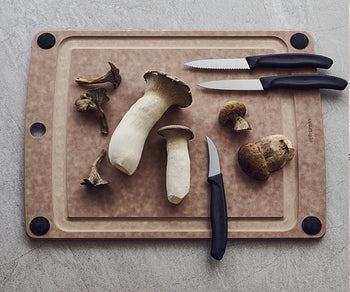 VICTORINOX | SWISS CLASSIC	