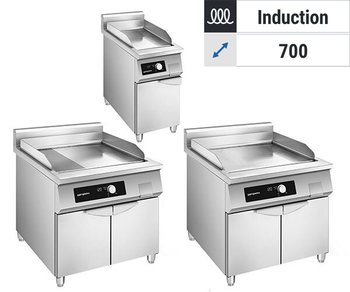 EMILIO - głębokość 700 - indukcja