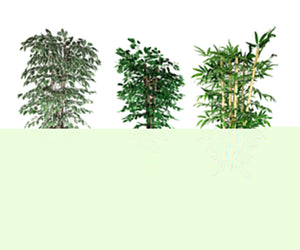 Rośliny ozdobne - Prime Gastro