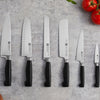 ZWILLING | VIER STERNE - Nóż do obierania & dekoracji - Ostrze: 100 mm