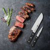 ZWILLING | GOURMET – zestaw noży – 2 szt.