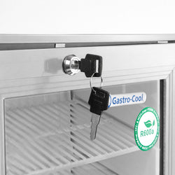 GASTRO - COOL | Chłodziarka minibarowa - 430 mm - 62 litry - z 1 szklanymi drzwiami & oświetleniem LED - srebrna
