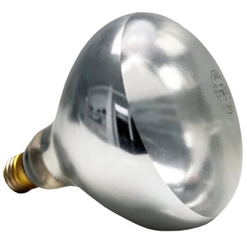 (6 sztuk) Żarówka na podczerwień / zamiennik żarówki - E27 - 250 W - Ø 125 mm - kompatybilna z 12265 - Prime Gastro