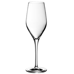 (6 Stück) WMF | DIVINE - Champagnerglas 29 - 265 ml - ungeeicht