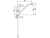 Monobloc mixer tap 8000 - swan-neck spout - with single-lever & swivel spout - spout 250mm
