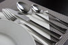 Cutlery set - Alessandra - 18/10 stainless steel - incl. cutlery box