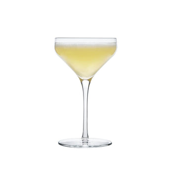 (12 Stück) LIBBEY | PRISM - Coupe - 237ml