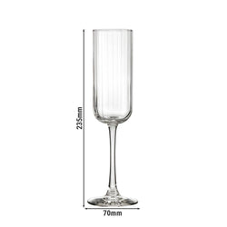 (12 Stück) LIBBEY | LINEAR - Sektglas - 222ml