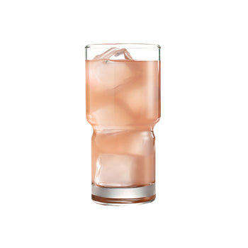 (12 Stück) LIBBEY | NEWTON - Cooler - 592ml