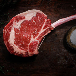 Szafa do dojrzewania mięsa metodą dry aging – 680 mm – 1 szklane drzwiczki – stal nierdzewna