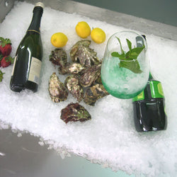 Wytwornica lodu płatkowego - 100 kg/ 24 godz.