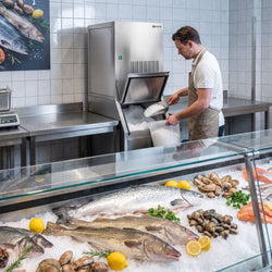 Modułowa maszyna do produkcji lodu płatkowego Premium Plus – 270 kg/24, wraz ze zbiornikiem na lód o pojemności 100 kg