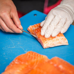 Pinceta do ryb - długość: 30 cm