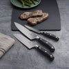 VICTORINOX | GRAND MAÎTRE – nóż szefa kuchni – ostrze: 250 mm