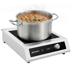 Kuchenka indukcyjna – 5 kW – od +60 do +240 °C – do dużych garnków o średnicy 450–500 mm, zdjęcie 3 z 9