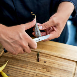 ZWILLING | VIER STERNE – nóż do warzyw – ostrze: 80 mm