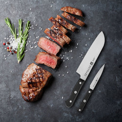 ZWILLING | GOURMET – zestaw noży – 2 szt.