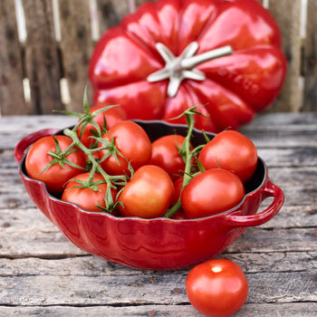 STAUB | LA COCOTTE - Cocotte- Forma do pomidorów - 250mm - Żeliwo - Wiśniowa czerwień - Prime Gastro