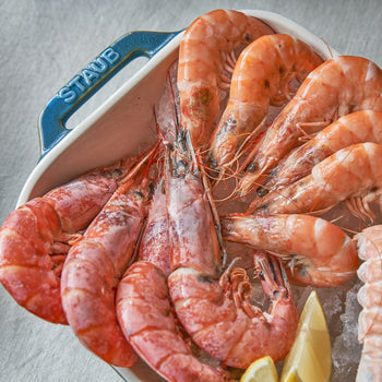 STAUB | CERAMIQUE - Zestaw foremek do piekarnika - 3-częściowy - prostokątny - ceramiczny - turkus antyczny - Prime Gastro