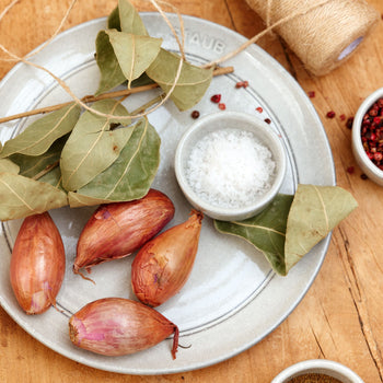 STAUB | DINING LINE - talerz - płaski - Ø 260mm - ceramiczny - biała trufla - Prime Gastro