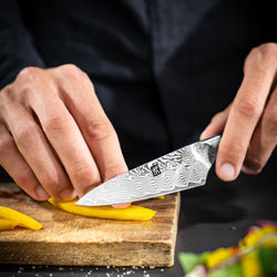 ZWILLING | TANREI – nóż do trybowania i dekorowania – ostrze: 100 mm