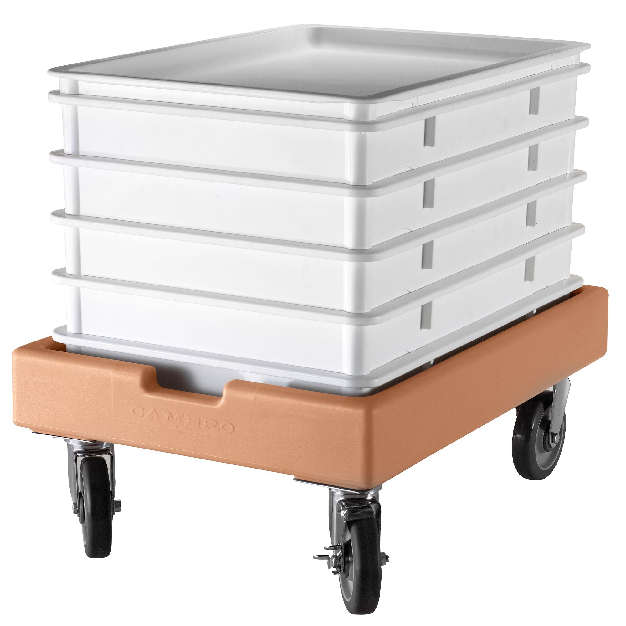 106_cambro45_room_1