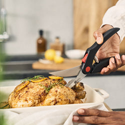 ZWILLING | Nożyczki do drobiu – 250 mm