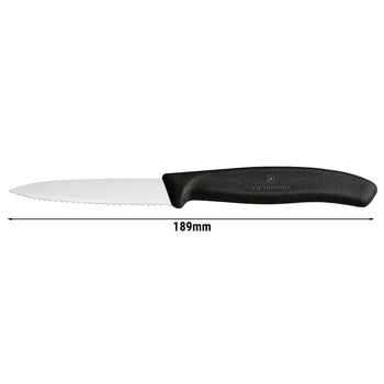 VICTORINOX | SWISS CLASSIC - Nóż do obierania z ząbkowaną krawędzią - Ostrze: 80 mm - Prime Gastro