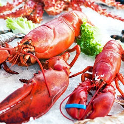 Wbudowana wanna do ekspozycji na lodzie - 1,1 m - 3x GN 1/1 - ze szklaną ochroną przed kaszlem