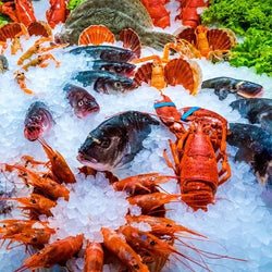 Wbudowana wanna do ekspozycji na lodzie - 1,8m - 5x GN 1/1 - ze szklaną ochroną przed kaszlem