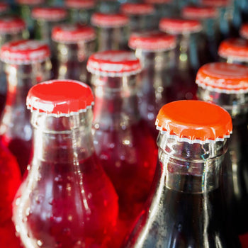 Chłodziarka do napojów - 435 litrów - z 2 szklanymi drzwiami - Prime Gastro