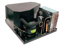 Chłodziarka PREMIUM PLUS - GN 2/1 - 1240 litrów - z 2 drzwiami