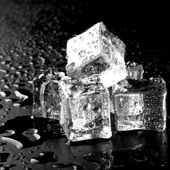 Pojemnik do przechowywania lodu - 250 kg - włącznie z wózkiem transportowym - do wytwornic lodu EWI212VHN, EWI403VHN, EWMI335, FEI220 & FEI220N - Prime Gastro