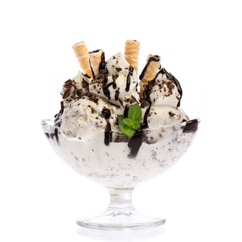 Maszyna do lodu - 10 litrów/ godz. - 1,1 kW - Prime Gastro