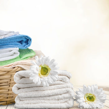 Suszarka bębnowa gazowa - 34 kg - Touch - Prime Gastro