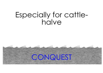 (5 szt.) Brzeszczot do piły taśmowej Conquest - 2,02 m - uzębienie: 10mm - Prime Gastro