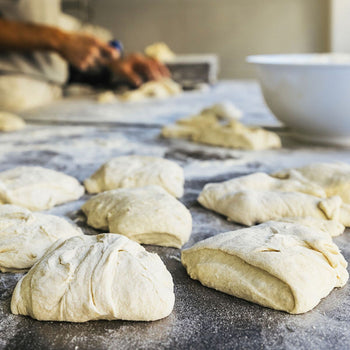 Chłodziarka piekarnicza ze stali nierdzewnej PREMIUM - EN 600x400 - 850 litrów - z 1 drzwiami - Prime Gastro