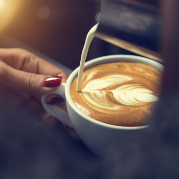 Mlecznik - 30 ml - Prime Gastro