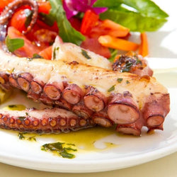 Kuchenka dla urządzeń do gotowania w próżni - 29 litrów - 1,7 kW - z zaworem spustowym i pokrywą