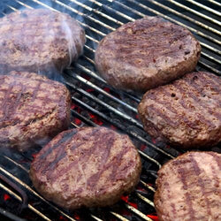 Forma do burgerów – z tworzywa sztucznego – duża – Ø 120 mm – 6 otworów – 175 g