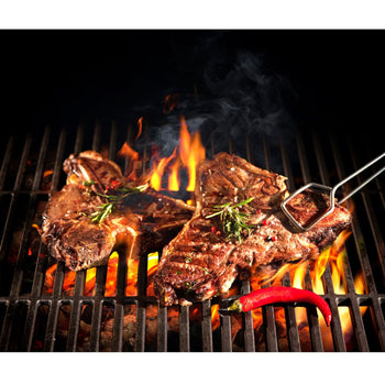 Węgiel drzewny - Piekarnik z grillem na węgiel drzewny - czerwony - Prime Gastro