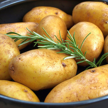 Szybkowar - Ø 320 mm - wysokość 190 mm - włącznie z pokrywą - Prime Gastro