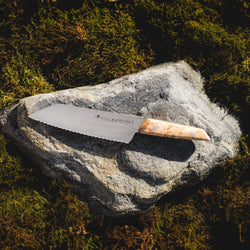 F. DICK | VIVUM - Nóż uniwersalny - z ząbkowaną krawędzią - Ostrze: 180 mm